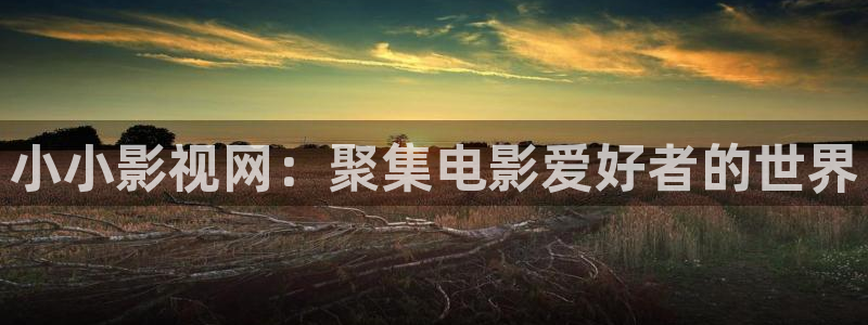 理論在線電影：小小影視網：聚集電影愛好者的世界