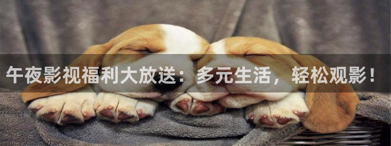 泡泡影視理論：午夜影視福利大放送：多元生活，輕松觀影！