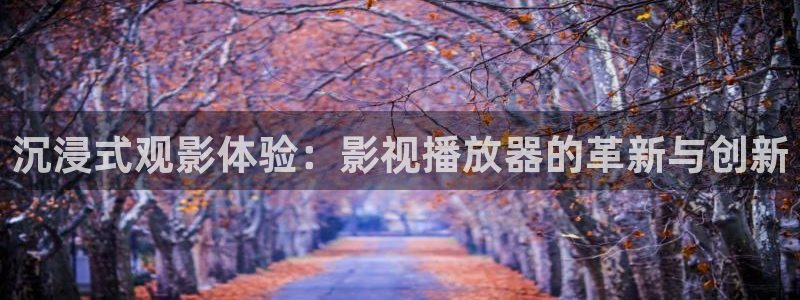 不卡影院午夜理論片：沉浸式觀影體驗：影視播放器的革新與創新